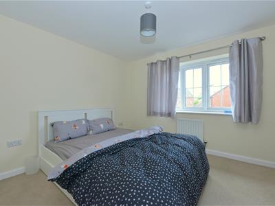 Picture 13